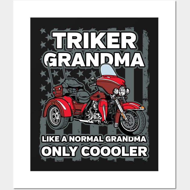 Triker Grandma Wall Art by RadStar